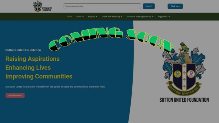 SUfoundation 1